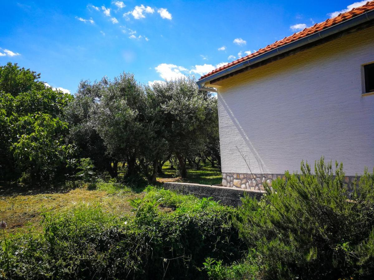 Villa Ecohouse Oliveglia Šilo Exterior foto